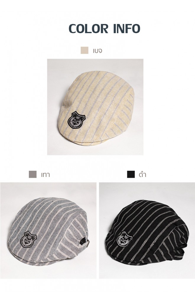 หมวกแฟลตแค๊ปลายทางแต่งป้าย DC